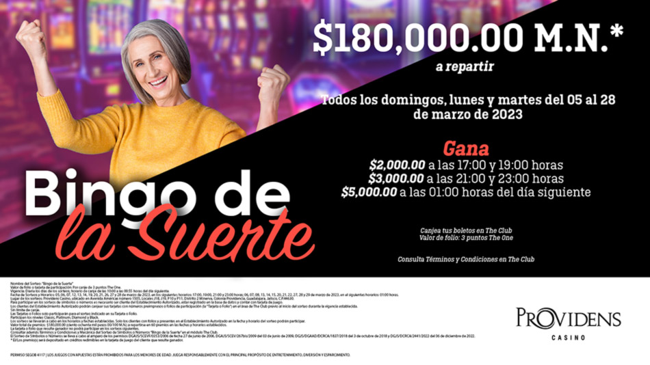Bingo de la Suerte